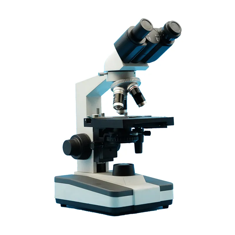 Binocular in Microscope